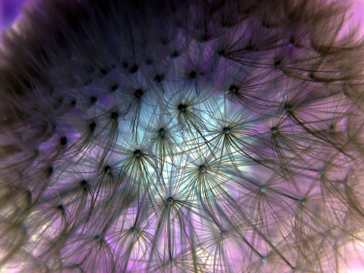 7637 (a): :1024x768